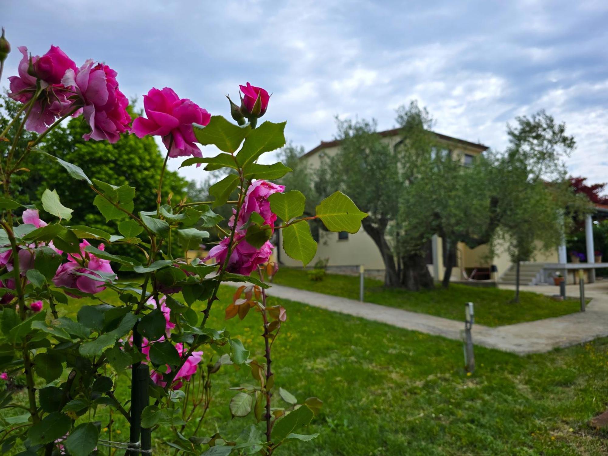 Keser Apartments Ровінь Екстер'єр фото